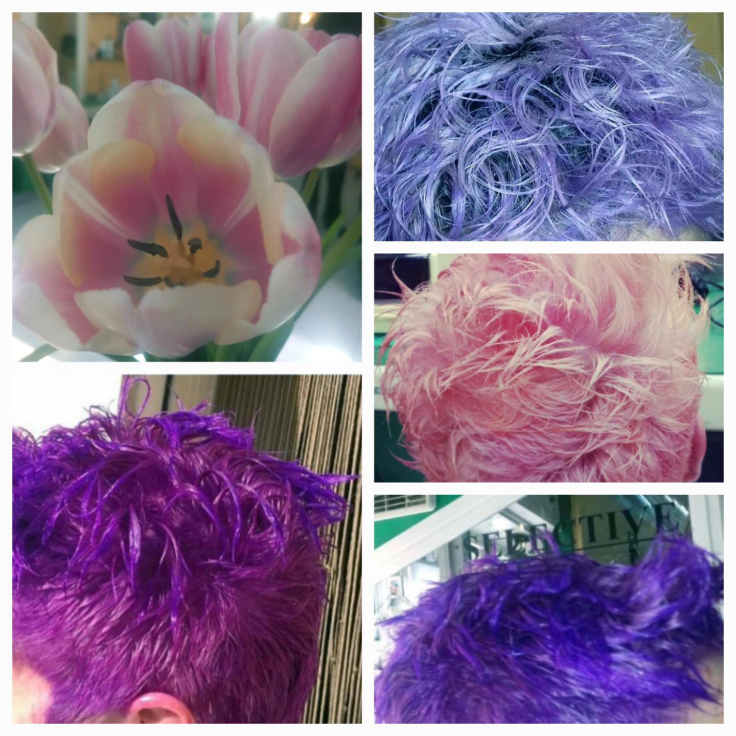 Ivana Hair Style